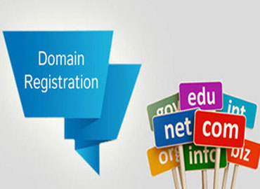 type of company services  images